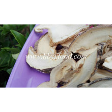 Getrockneter Pleurotus Eryngii Pilz Bester Preis